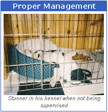 Proper Management