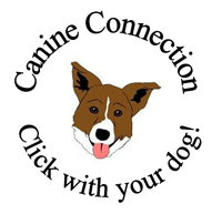 Canine Connection LLC