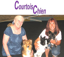Courtois Chien